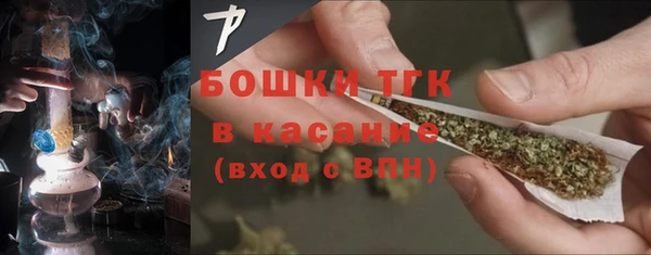 соль ск Михайлов