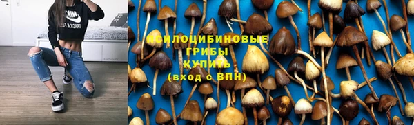 соль ск Михайлов