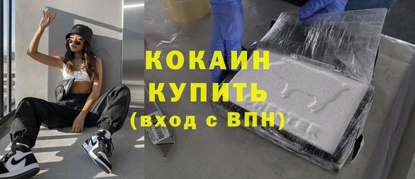 соль ск Михайлов