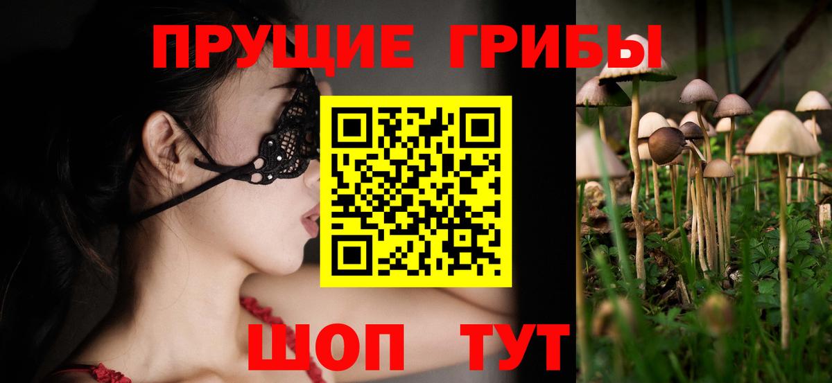 сколько стоит  Нижнекамск  Псилоцибиновые грибы GOLDEN TEACHER 