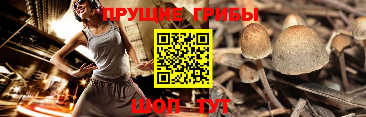 Галлюциногенные грибы Psilocybe  хочу   Нижнекамск  Псилоцибиновые грибы ЛСД  Вход с VPN 