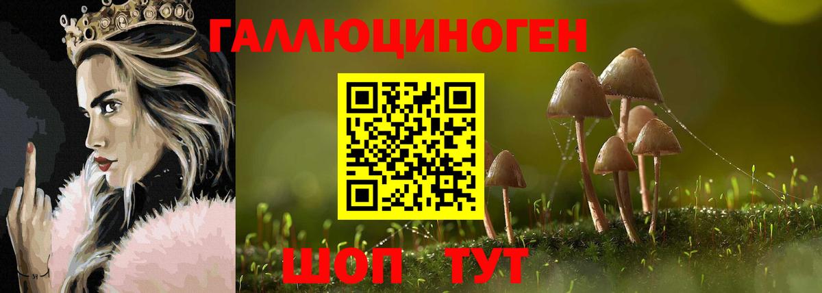 Галлюциногенные грибы Cubensis Нижнекамск